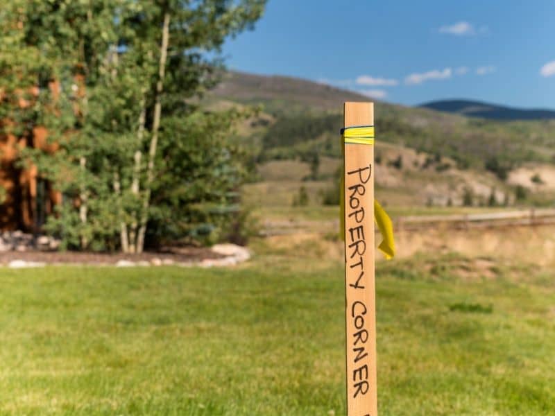 Property corner marker with flagging tape identifying boundary locations before clearing trees on a wooded lot.
